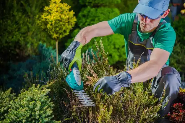 landscaping services Crugers